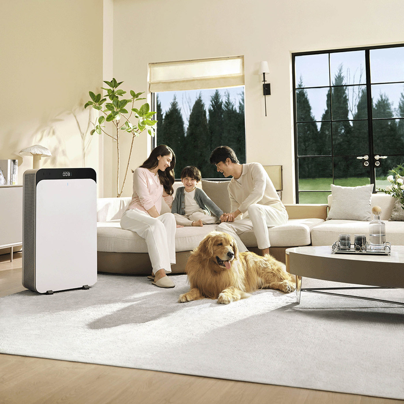 Blueair Classic Pro CP9i