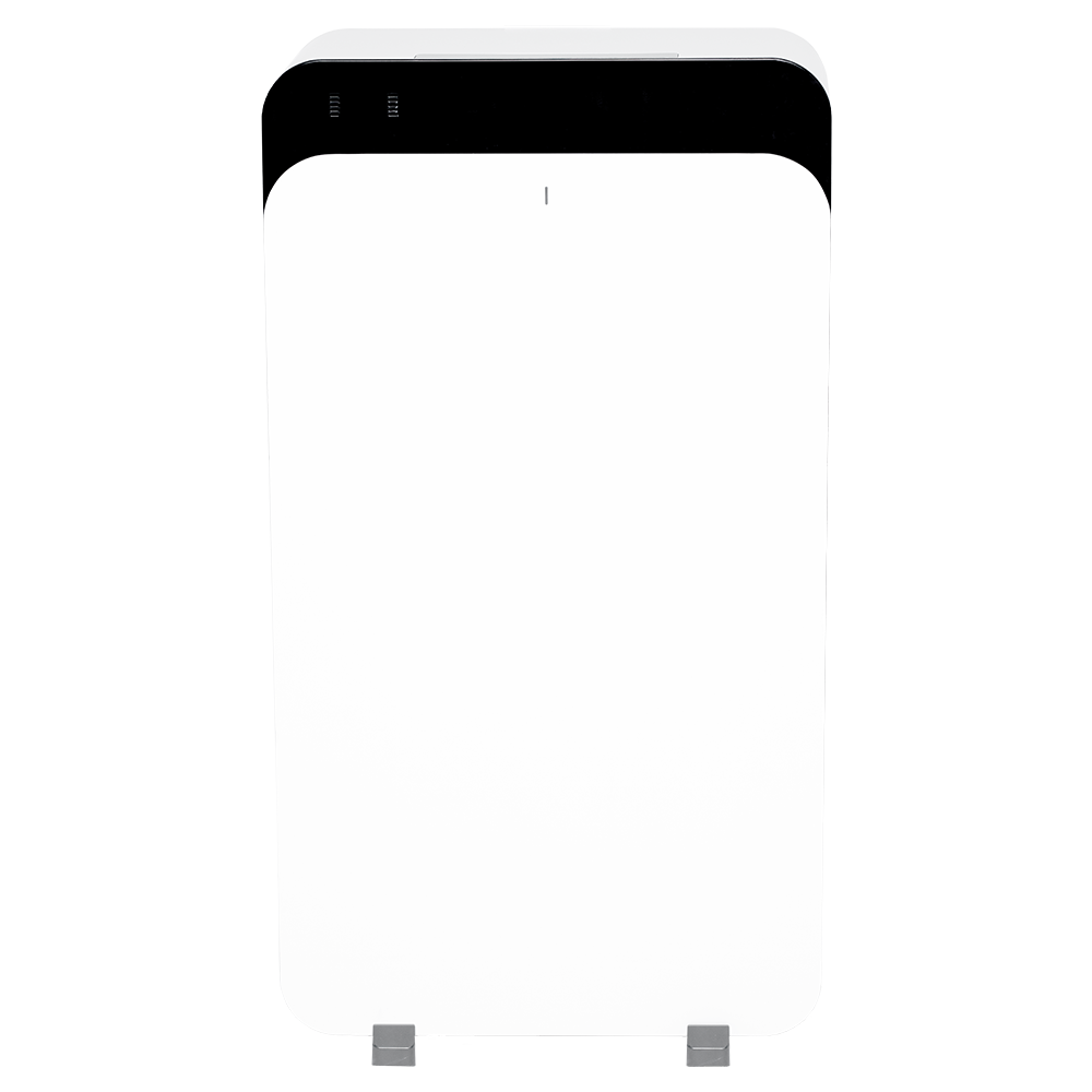Blueair Classic Pro CP9i