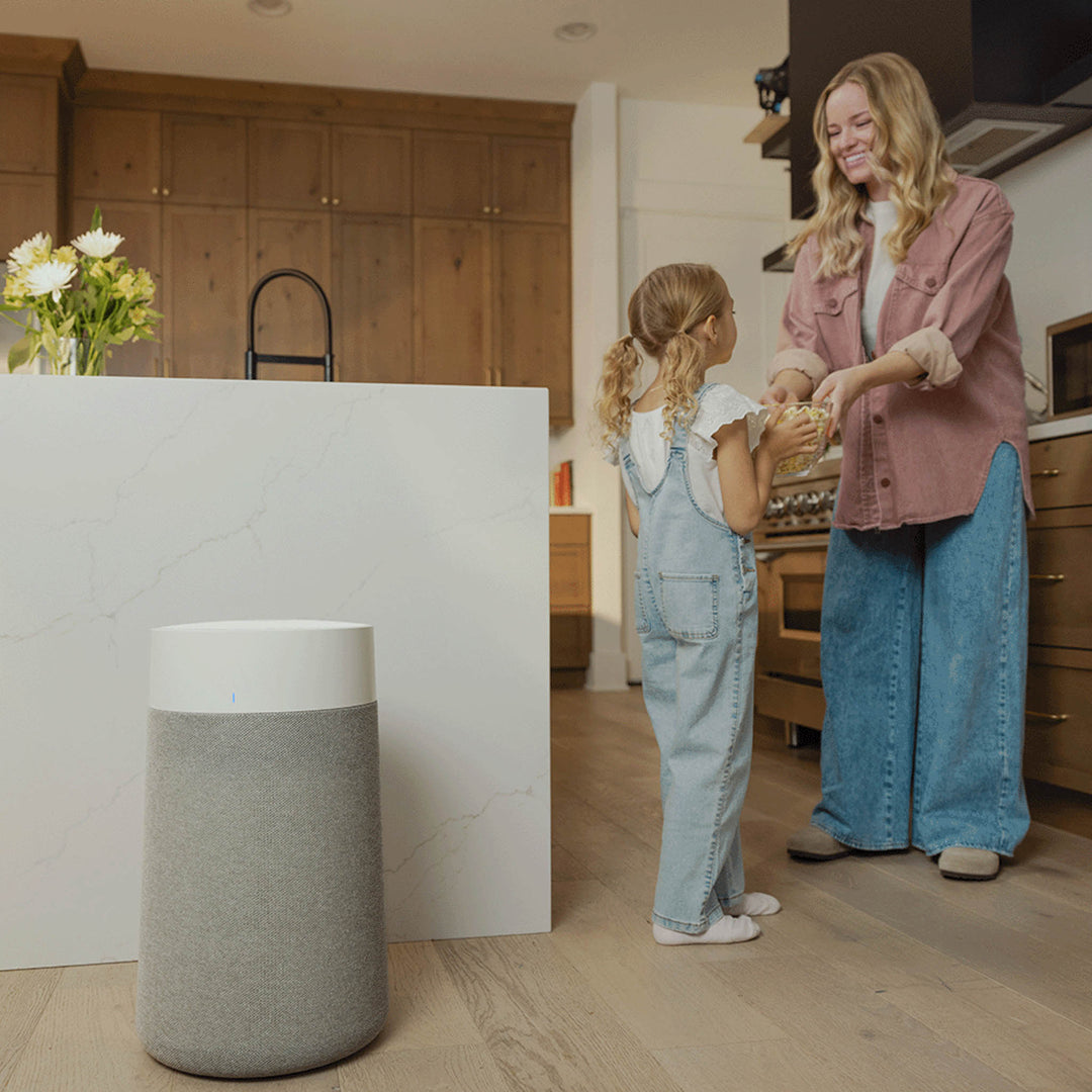 Blueair Blue Pure 3450i Max – Arisit