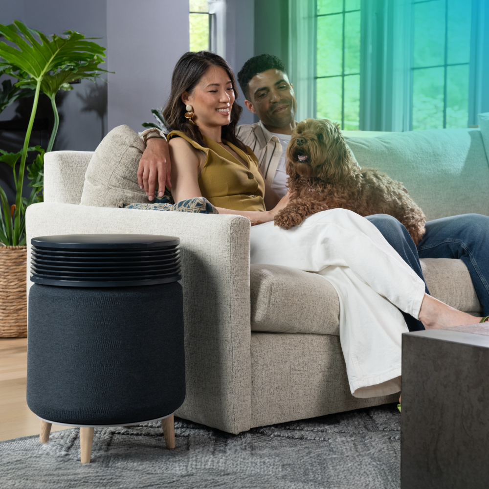 Blue Signature SP4i Wood Legs – Arisit
