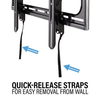 Sanus Large Outdoor Premium Tilt Wall Mount Fdr TVS 37" -95" VODLT1-B2